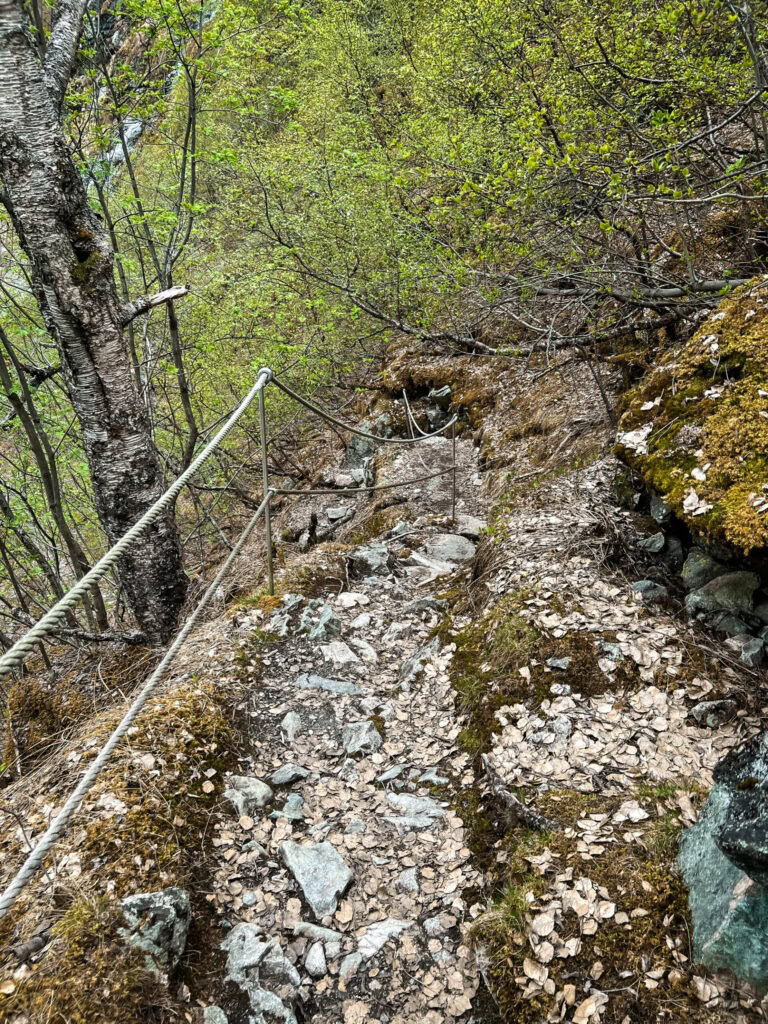 The steep trail to the bottom of Vettisfossen waterfall