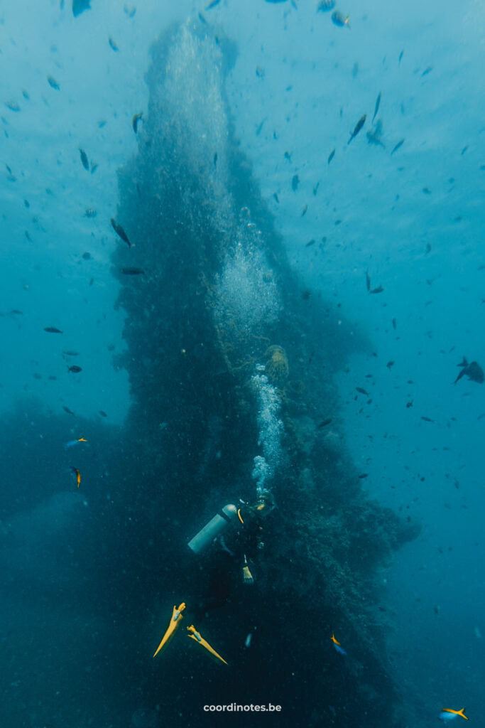Diving at USAT Liberty shipwreck, one of the best things to do in Amed Bali