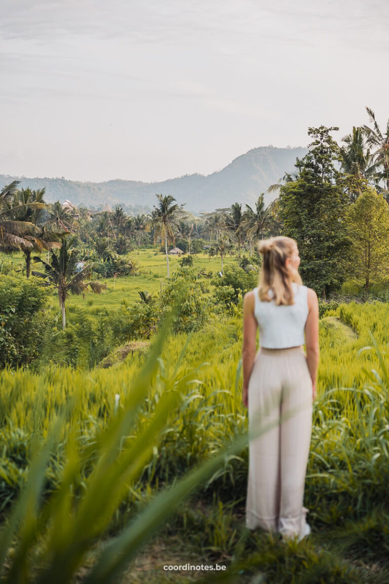 Rice Field Trekking in Sidemen, Bali