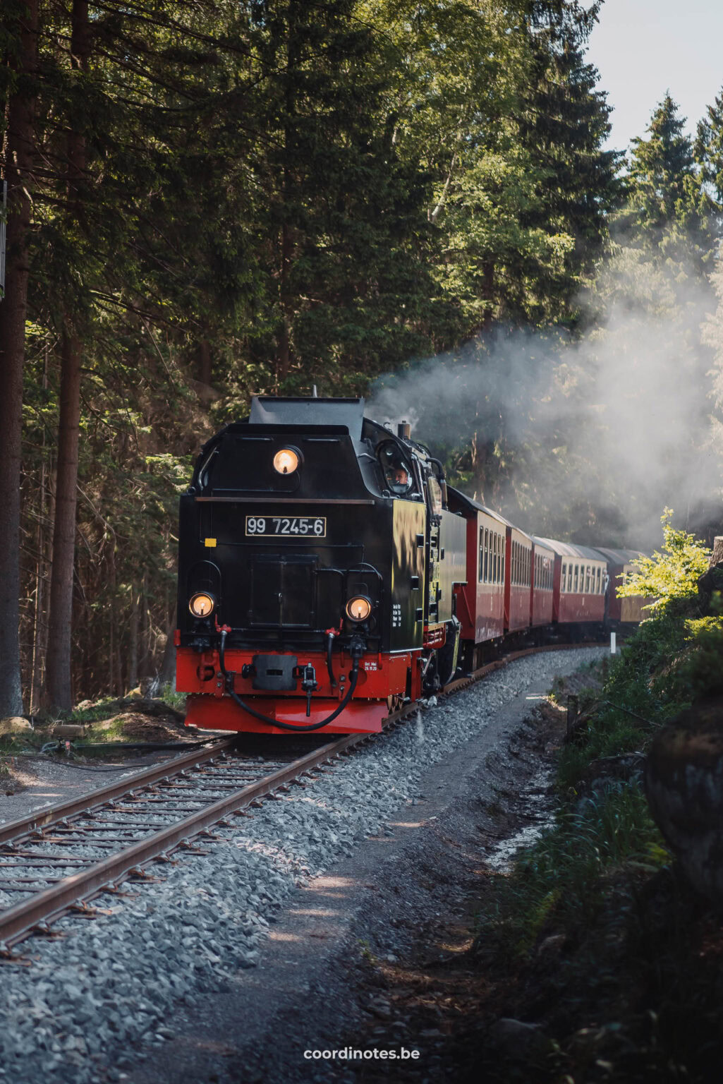 Steam train along the Brockenbahn