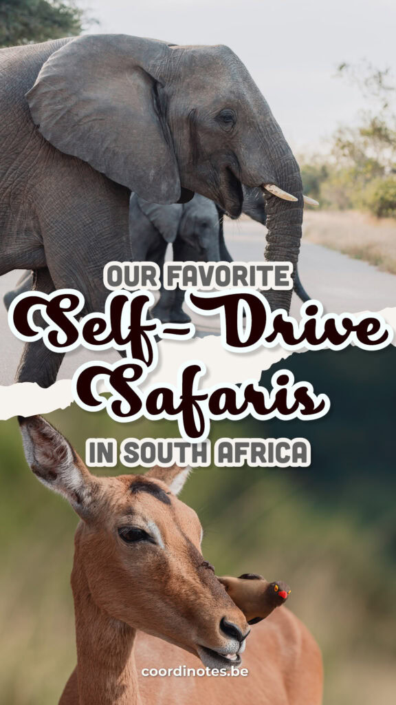 PinIt-SouthAfrica-Safari-Parks