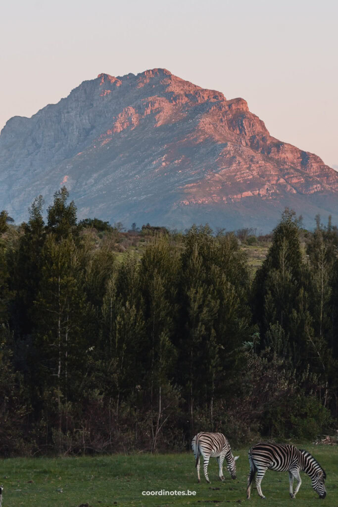 View on the mountains at Remhoogte, Stellenbosch
