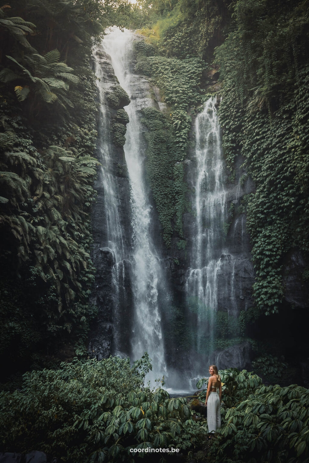 Fiji Waterfall, Bali