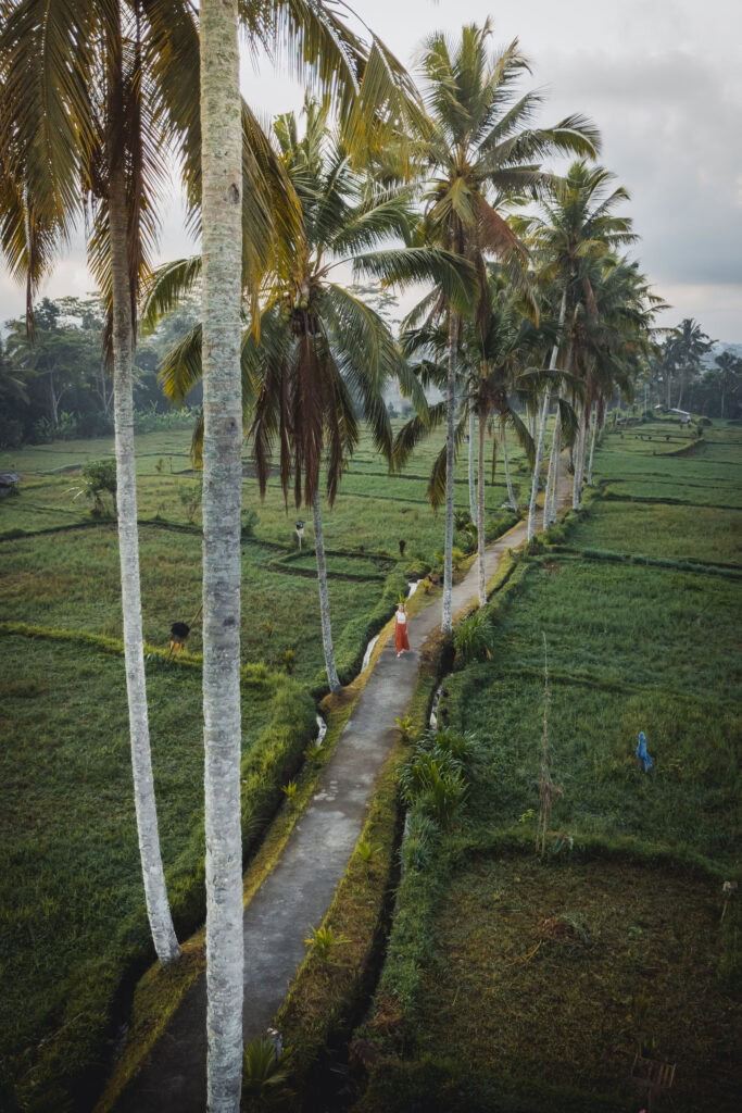 Mancingan Rice Terrace in Bali